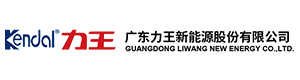广东力王新能源股份有限公司